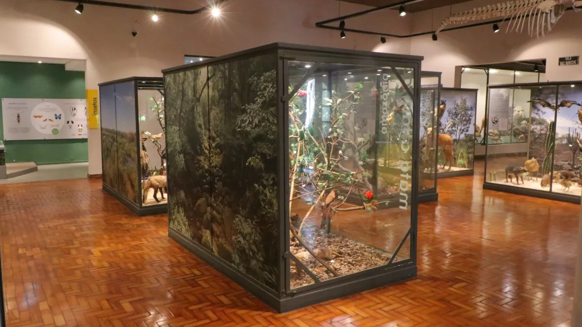 museu-historia-natural-campinas-1x
