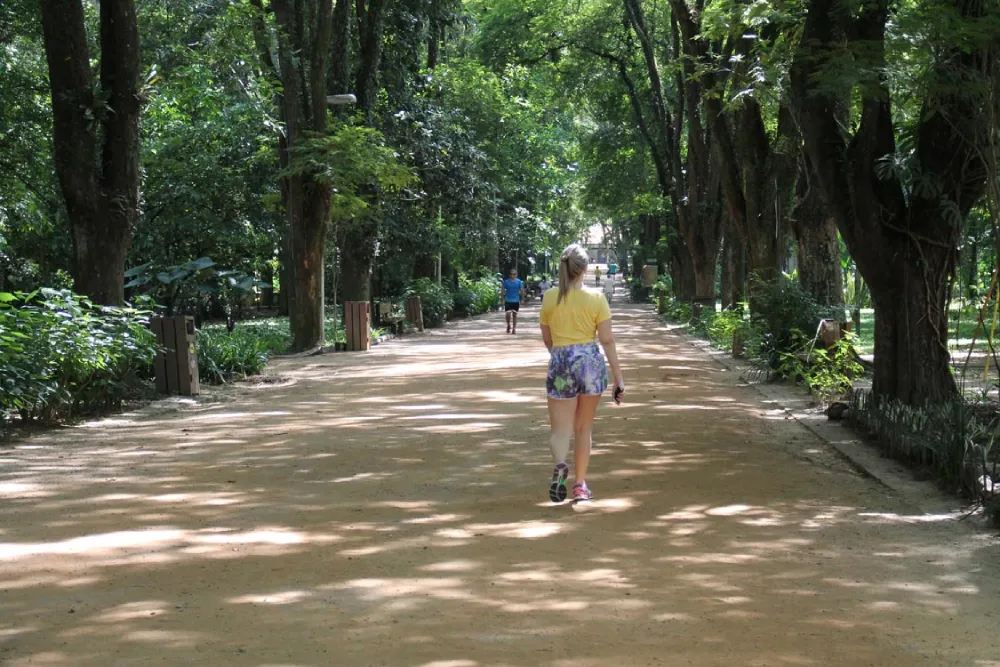 parque-piqueri